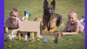 Fakty Czwórki – kolejne odcinki z domu