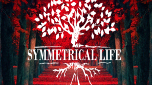 Symmetrical Life